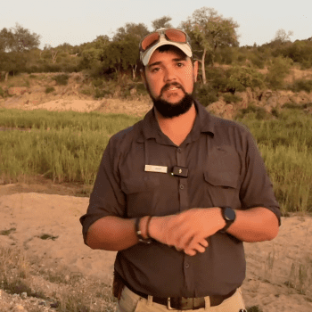 Daily Dive # 217 | Guiding in Klaserie Private Game Reserve